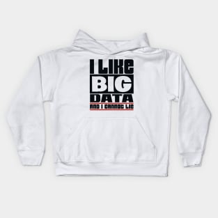 I like big data and I cannot lie Kids Hoodie